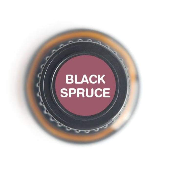 Black Spruce Pure Essential Oil - 15ml