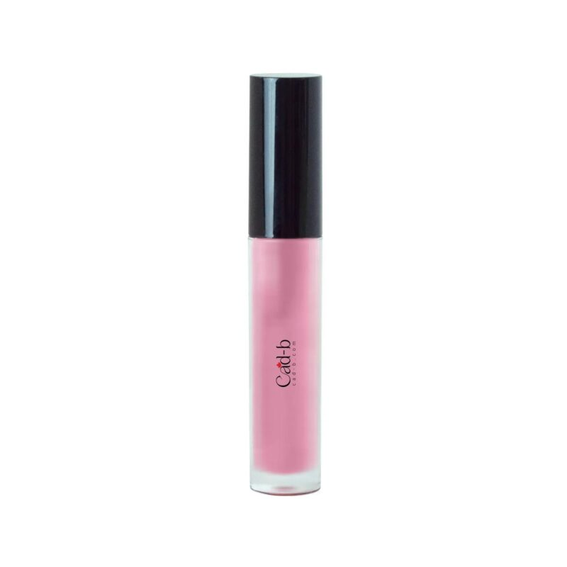 Lip Gloss - Pinky LG02 | Vegan, Paraben Free, Shimmer & Natural Finish