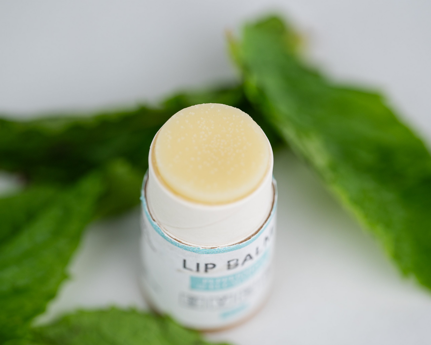 Lip Balm Bundle