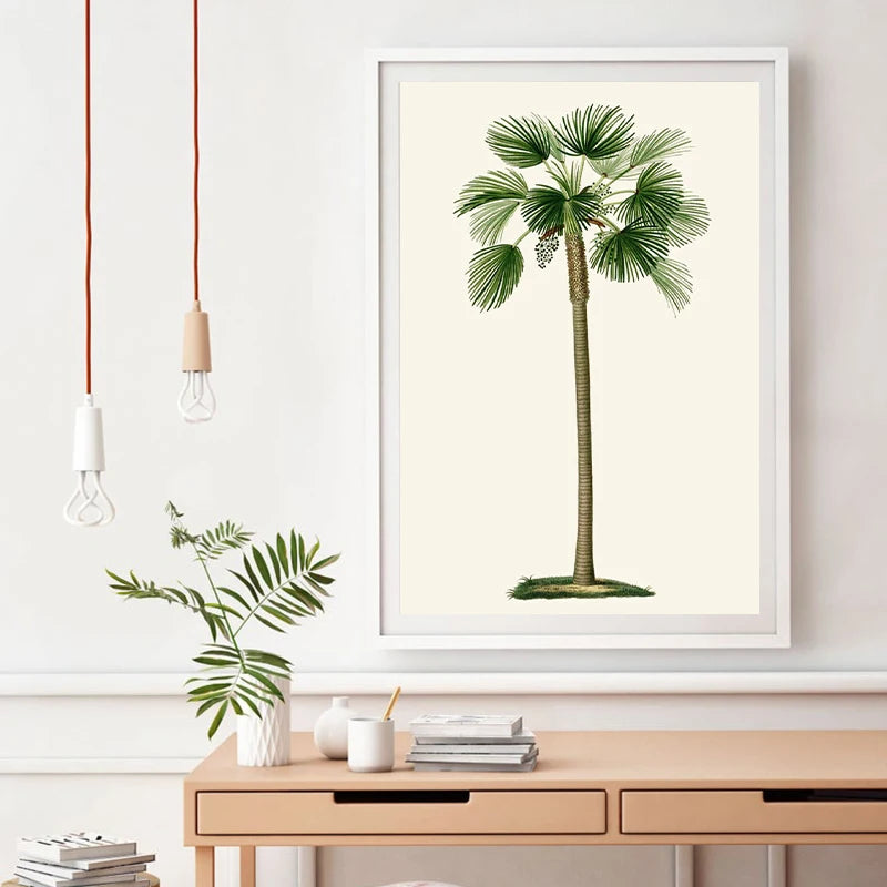 Tropical Palm Tree Vintage Illustrations Canvas Prints