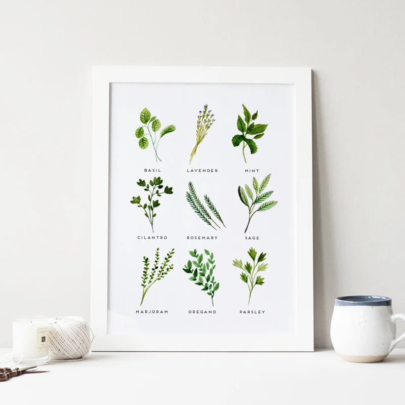 Herbs Canvas Print Watercolor Basil Oregano Sage Cilantro