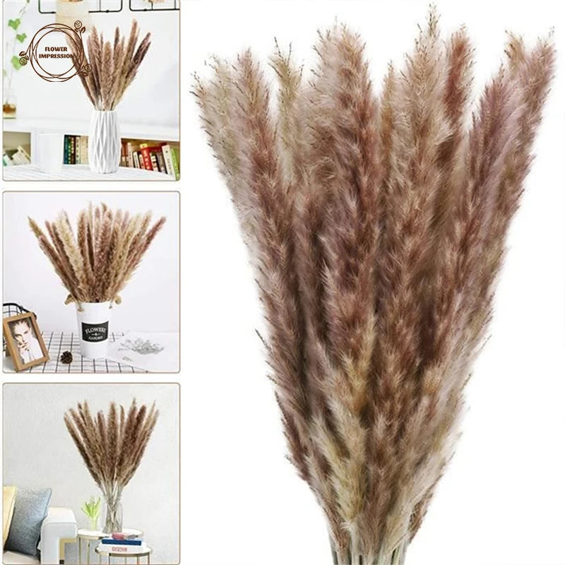 Natural Fluffy Pampas Room Decor