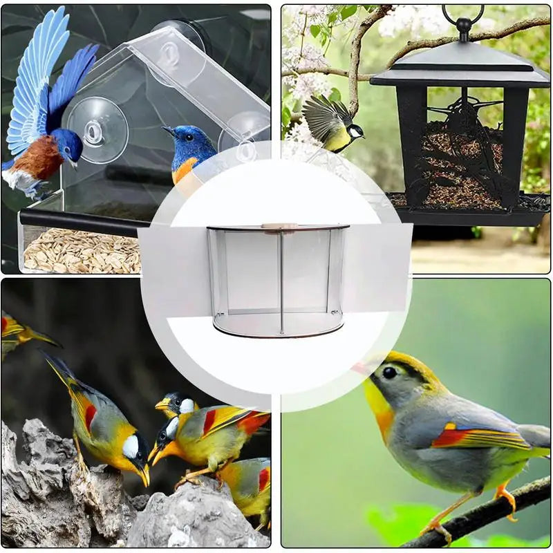 Window Bird Feeders Waterproof Acrylic Transparent Squirrel Food Container 360 Degree Viewable Bird House