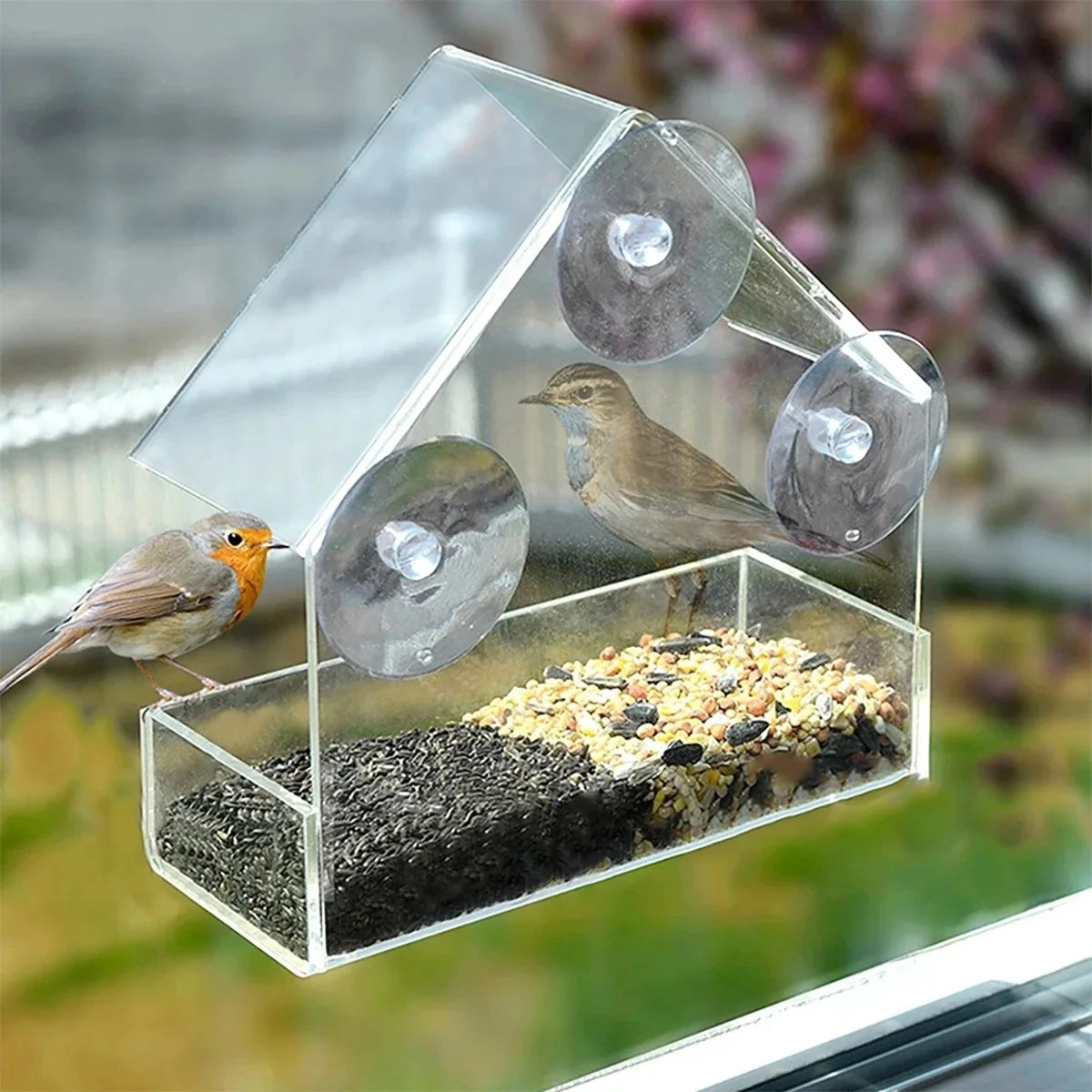 Window Bird Feeder Transparent Removable Outdoor Suction Cups Sliding Feed Tray