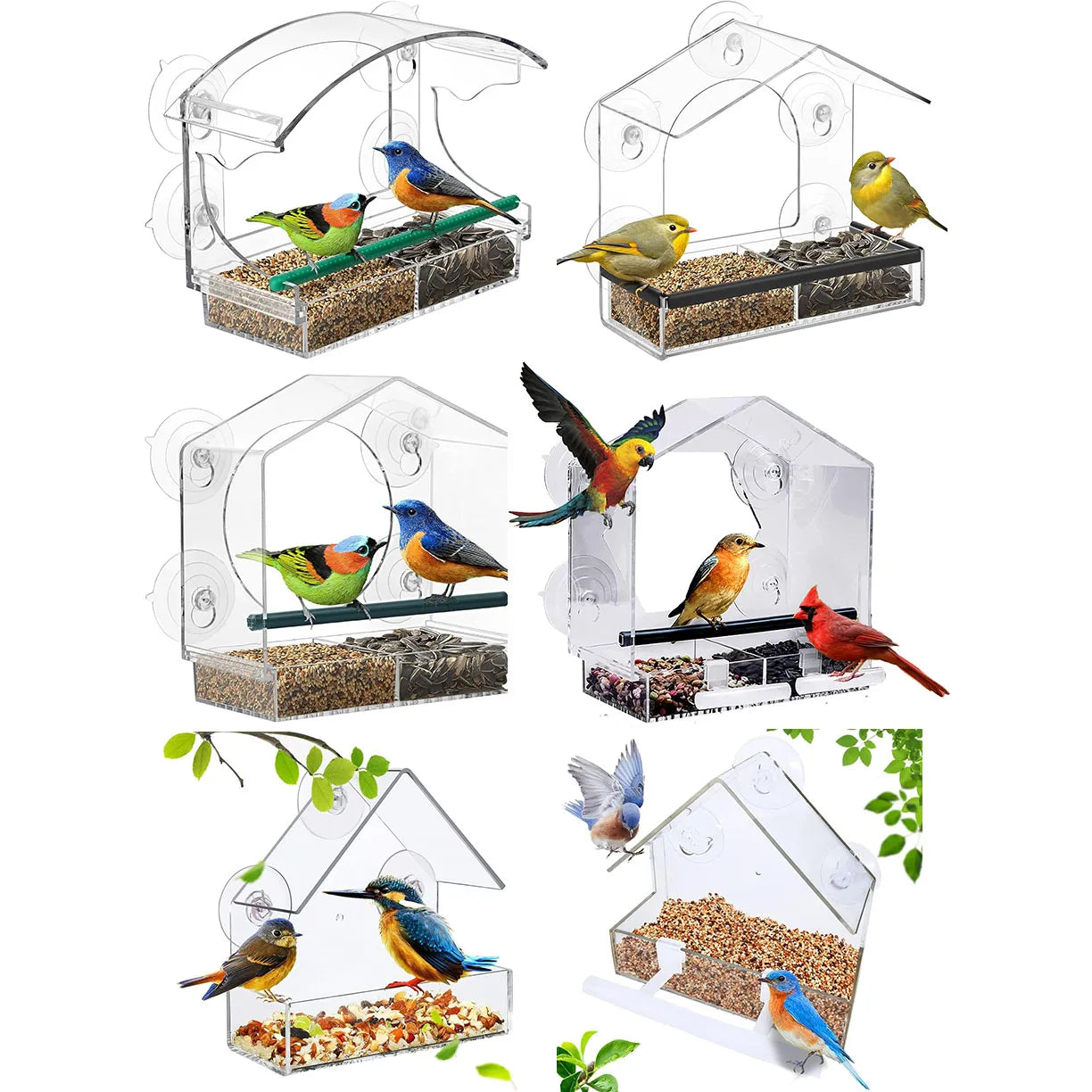 Acrylic Clear Glass Window Birds Hanging Feeder, Suction Cup