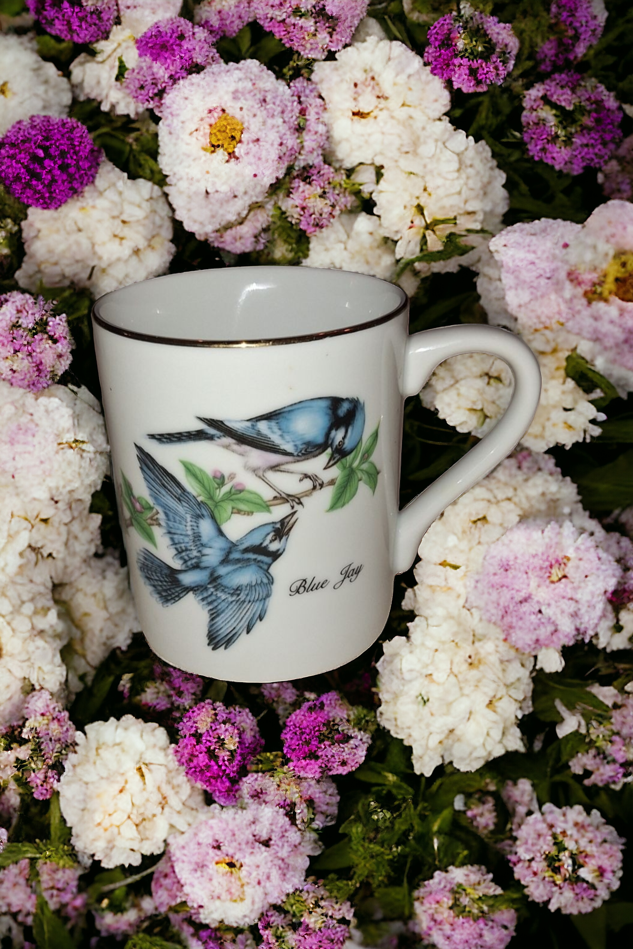 Audubon Society Bird Mugs, set of 4