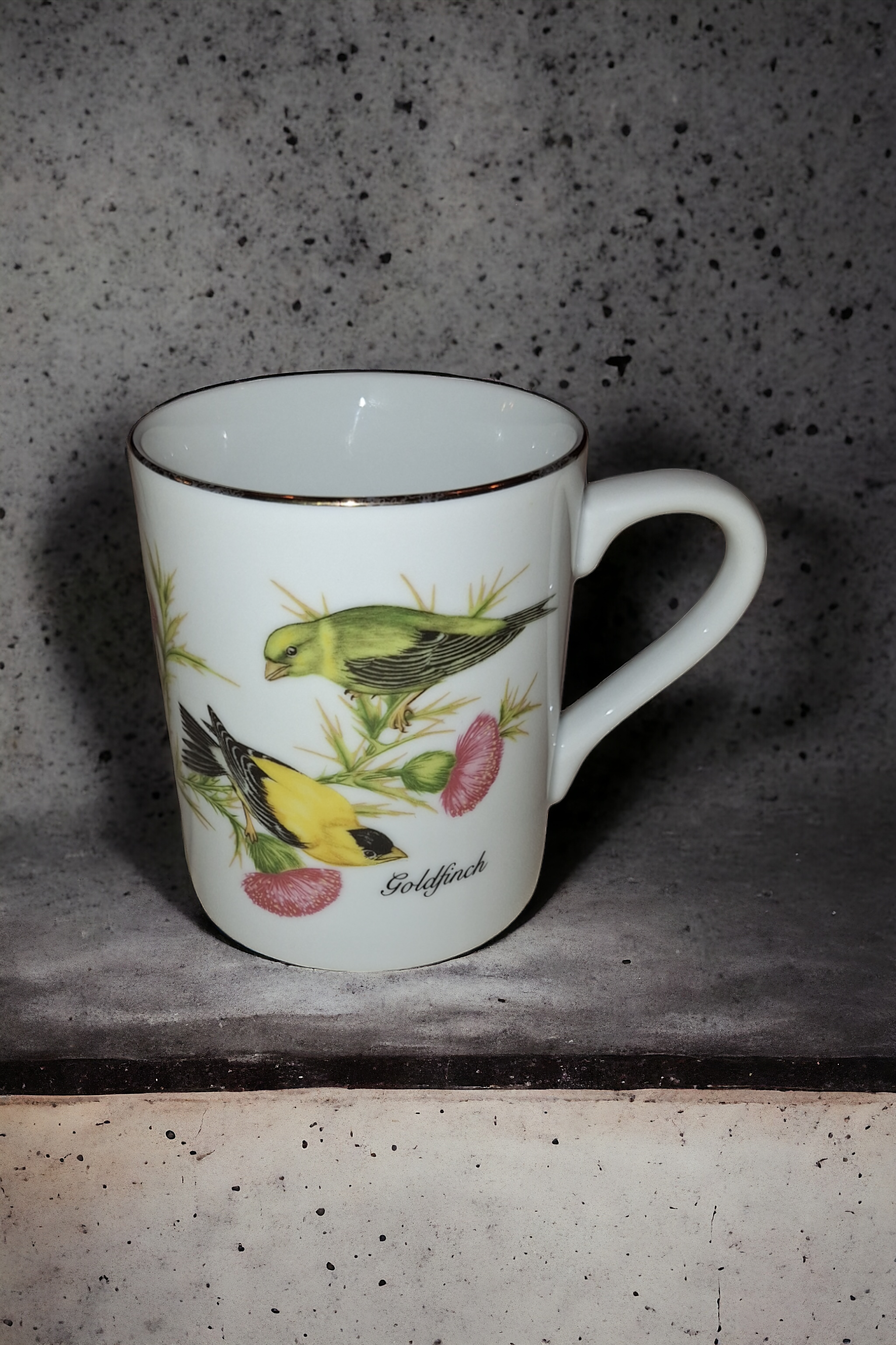 Audubon Society Bird Mugs, set of 4