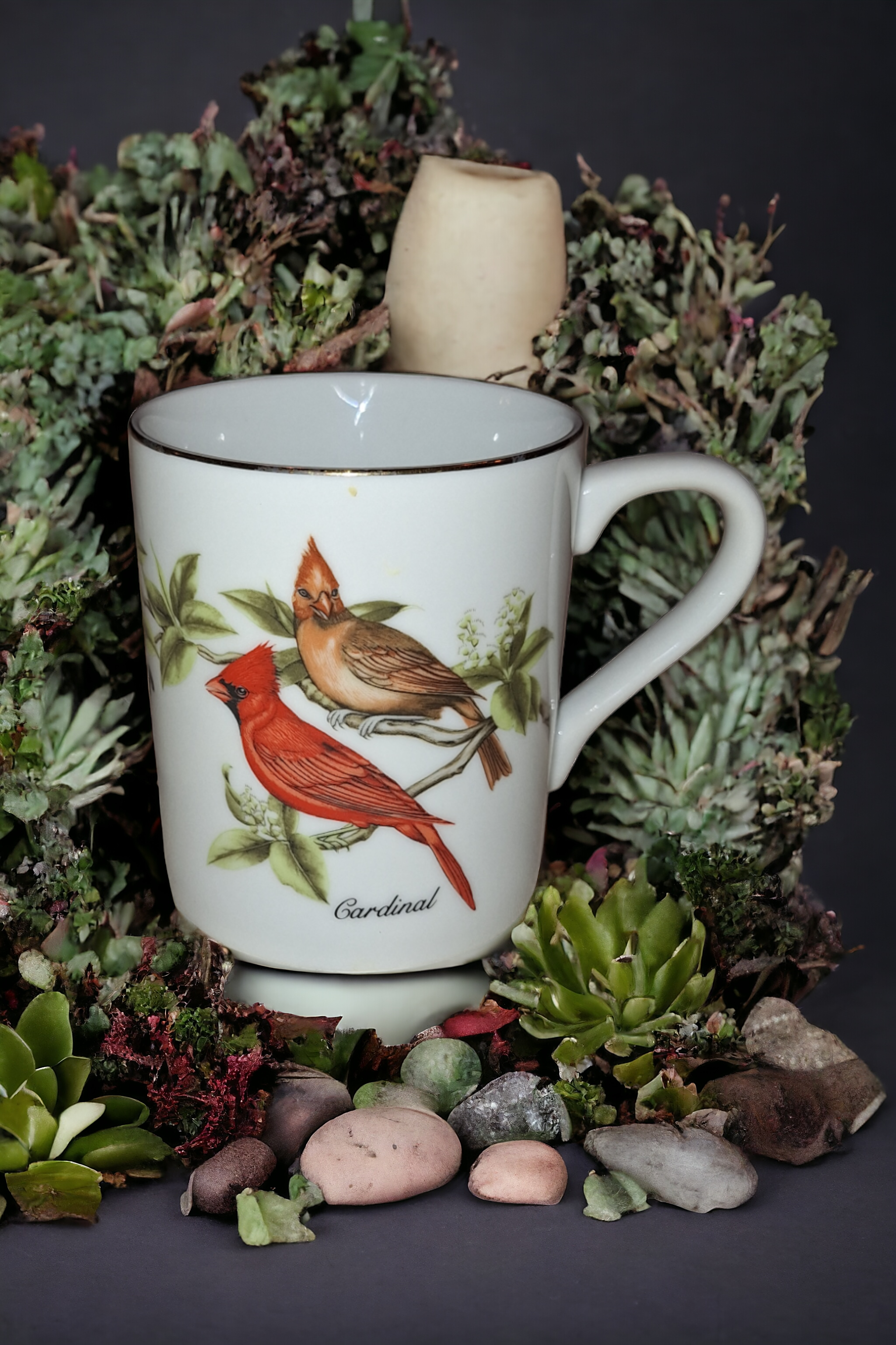 Audubon Society Bird Mugs, set of 4