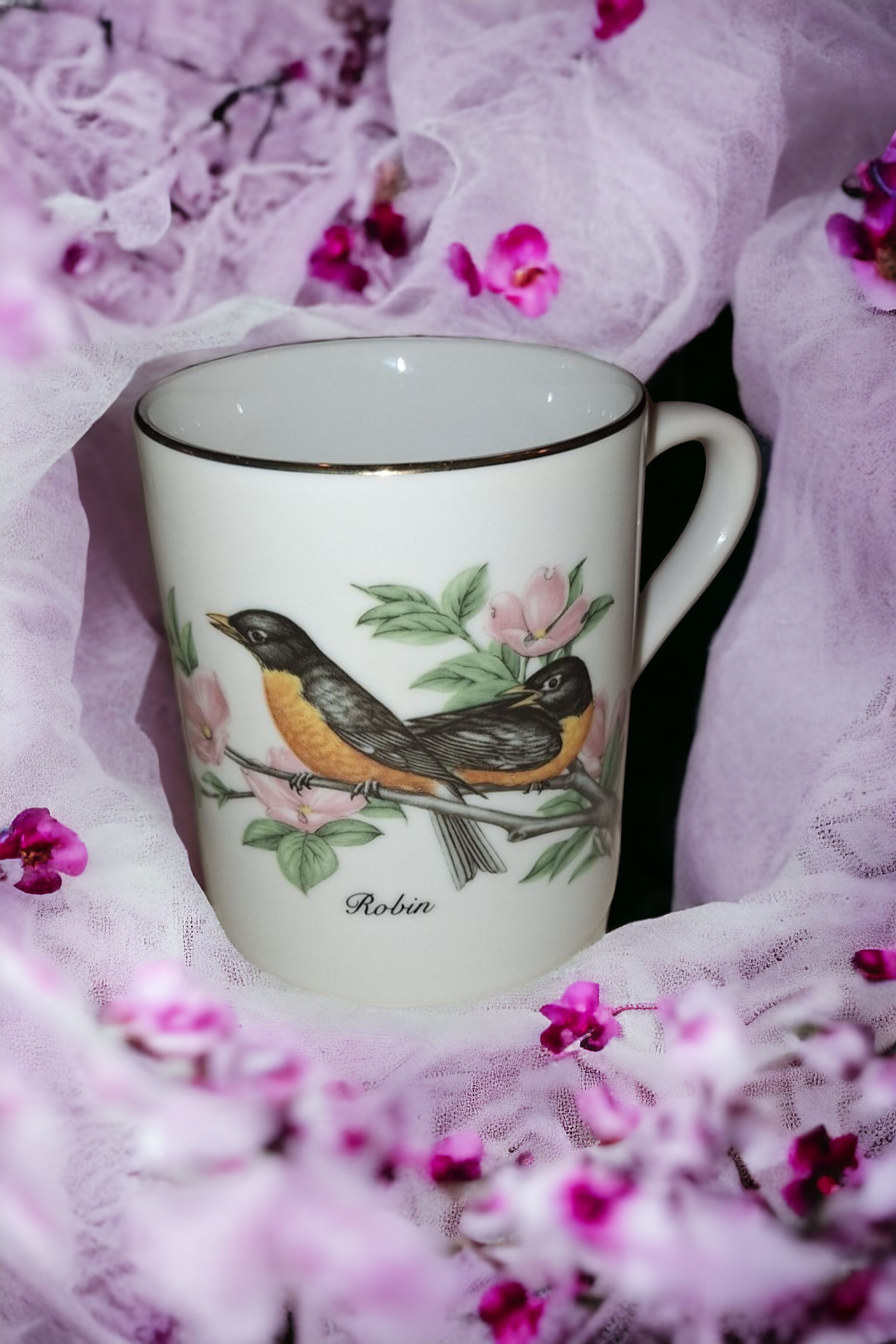 Audubon Society Bird Mugs, set of 4